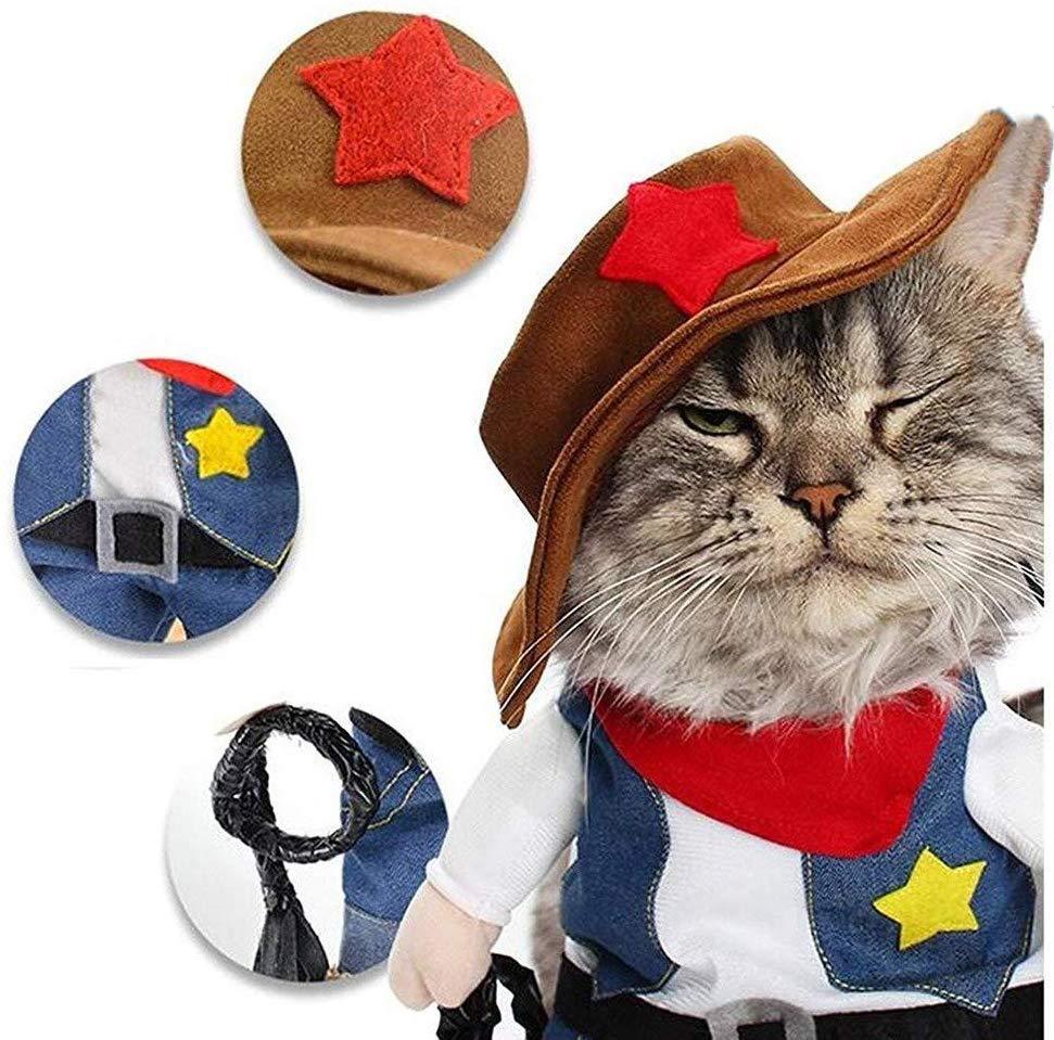 Pet denim costume