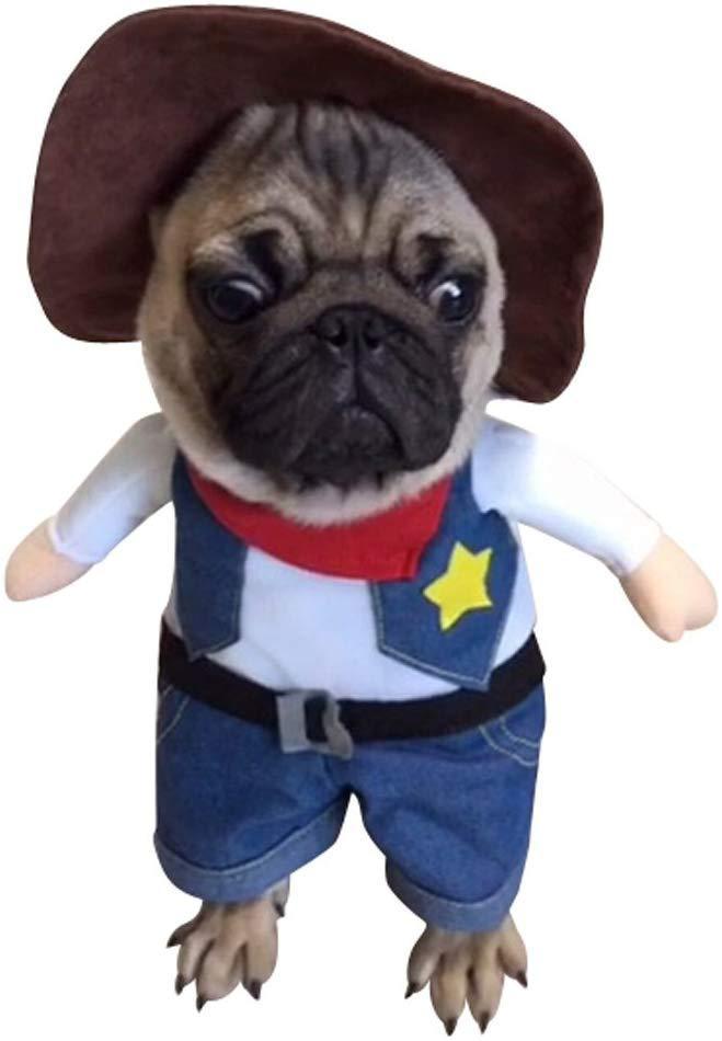 Pet denim costume